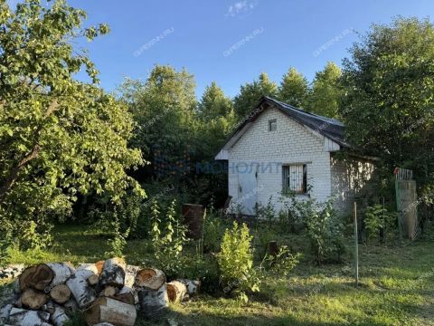 dacha фото