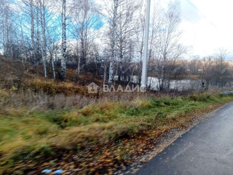 земельный участок 90 соток деревня Инютино