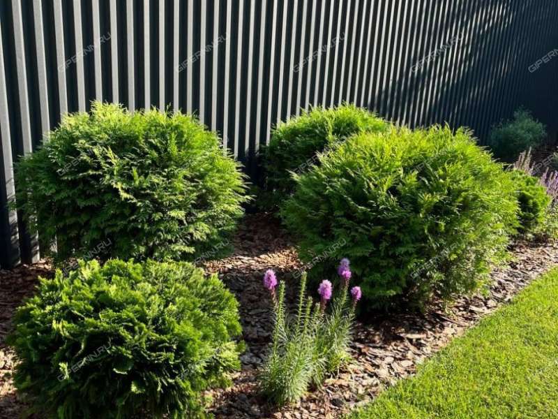 коттедж на Рыбинской улице