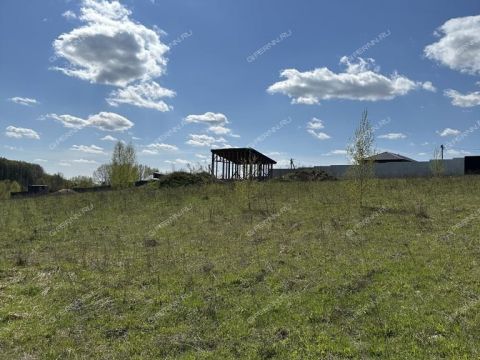 derevnya-shumilovo-bogorodskiy-municipalnyy-okrug фото