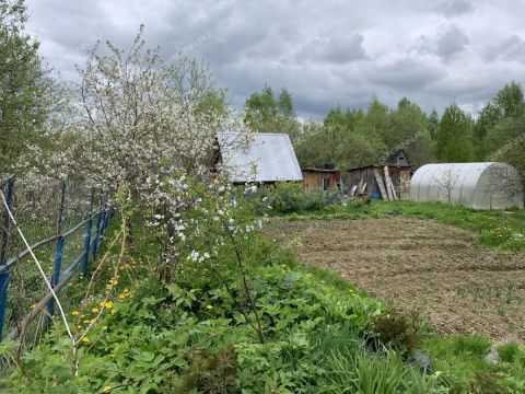 dacha-derevnya-slobodskoe-lindovskiy-selsovet-gorodskoy-okrug-bor фото