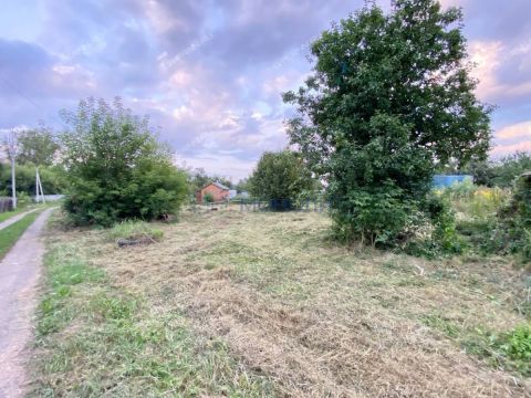 dacha-rabochiy-poselok-gidrotorf-balahninskiy-municipalnyy-okrug фото