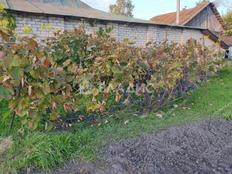 dom-selo-vazyanka-spasskiy-rayon фото
