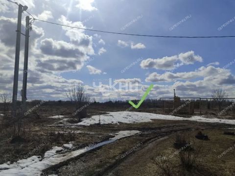 derevnya-savelovo-bogorodskiy-municipalnyy-okrug фото