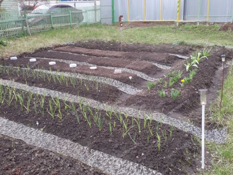 dom-snt-kalinka-gorodskoy-okrug-bor фото