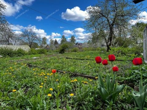 dacha-gorod-balahna-balahninskiy-municipalnyy-okrug фото