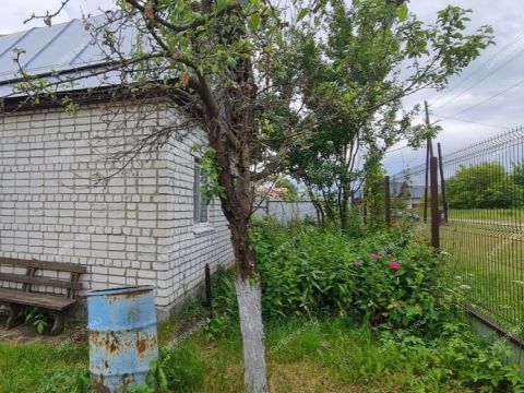 dom-derevnya-palcino-bogorodskiy-municipalnyy-okrug фото