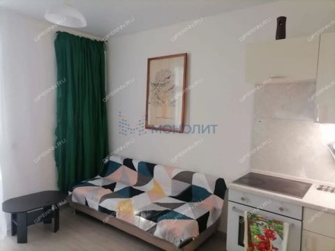 kvartira-studiya-derevnya-ankudinovka-kstovskiy-rayon фото