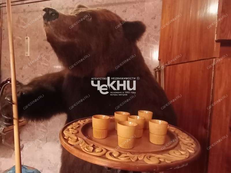 дом на  деревня Кирьяново, Тимирязевский сельсовет