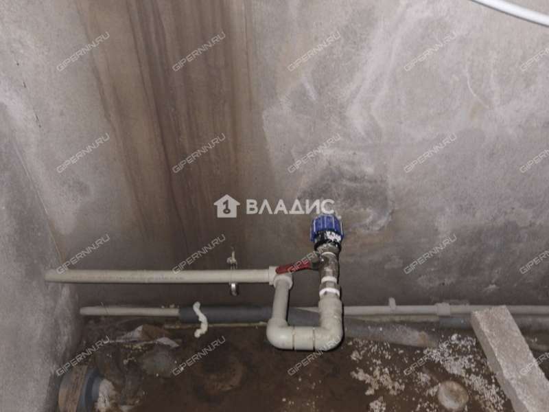 дом на Берёзовой улице село Великий Враг