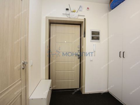 1-komnatnaya-derevnya-ankudinovka-kstovskiy-rayon фото