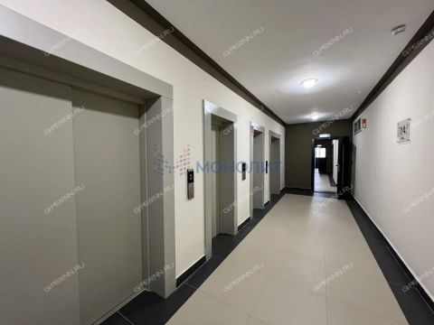 1-komnatnaya-derevnya-ankudinovka-kstovskiy-rayon фото
