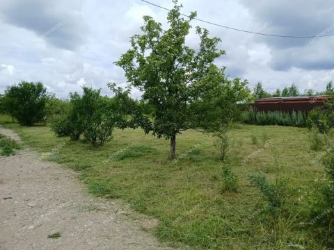 derevnya-krutaya-kstovskiy-rayon фото