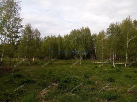 derevnya-churkino-zinyakovskiy-selsovet-gorodeckiy-rayon фото