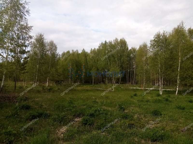 земельный участок 20 соток - деревня Чуркино (Зиняковский сельсовет