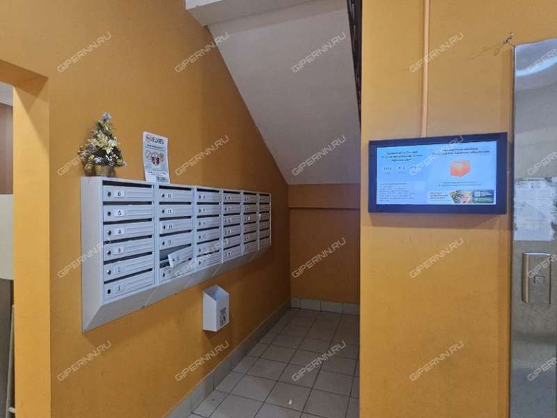 квартира-студия на улице Романтиков дом 8