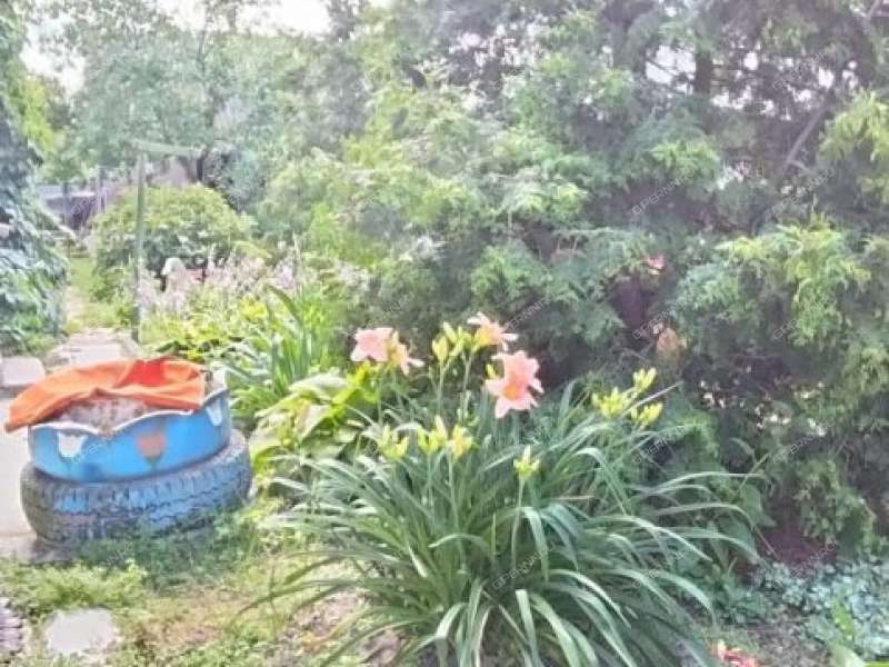 дом на улице Глебова деревня Новоликеево