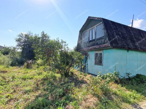 dacha-derevnya-pochinok-chernyshihinskiy-selsovet-kstovskiy-rayon фото