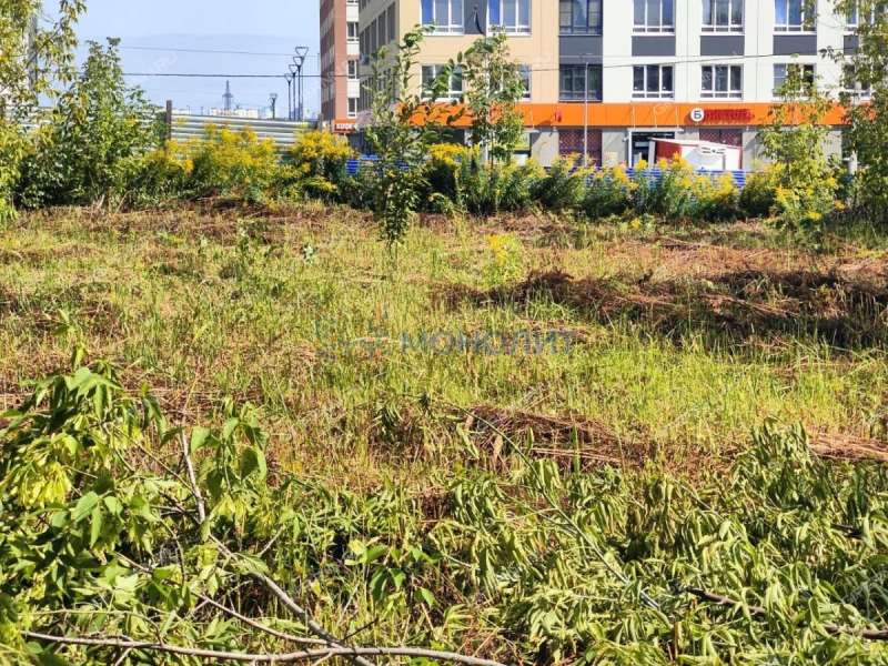 дом на улице Мира деревня Анкудиновка