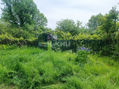 dom-derevnya-sorokoumovo-gorodeckiy-rayon фото