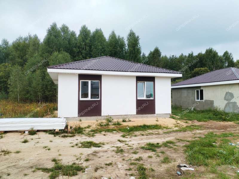 дом на Героя Демина ул. деревня Пруды