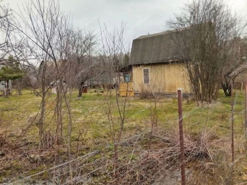 zelenyy-dol-poselok-pri-stancii-tarasiha-ter-snt-semenovskiy-gorodskoy-okrug фото