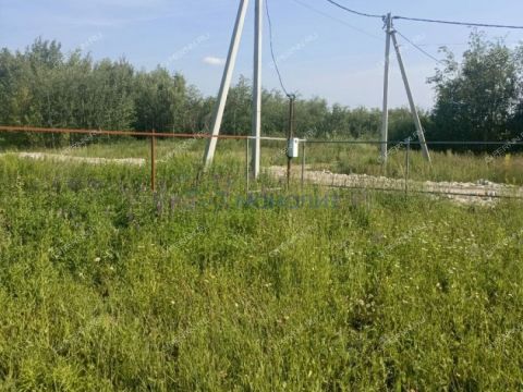 gorod-bor-gorodskoy-okrug-bor фото