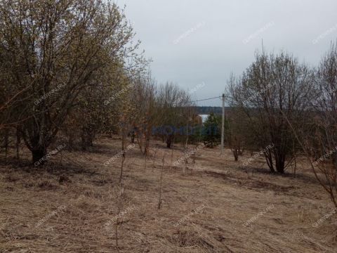 dp-cheshskie-sady-derevnya-nepecino-ter-bogorodskiy-municipalnyy-okrug фото