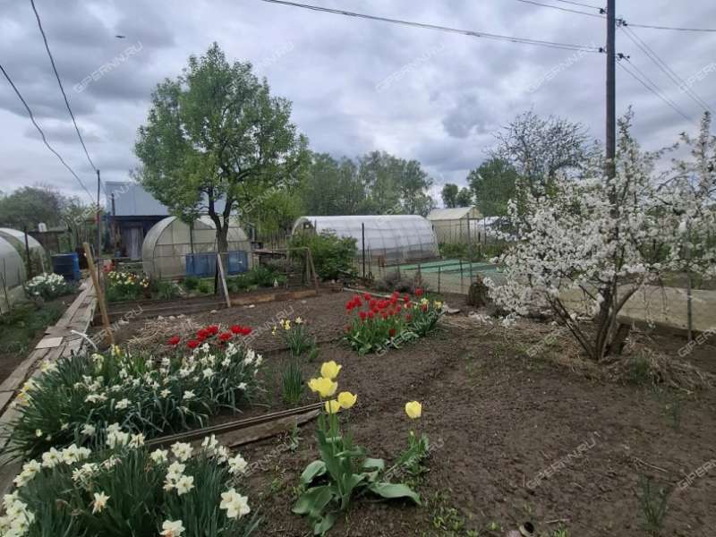 трёхкомнатная квартира на Школьная ул. дом 1 село Чернуха