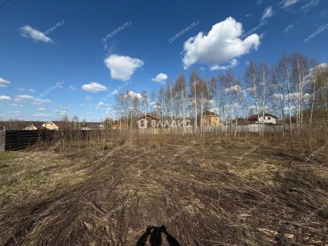 derevnya-dyakovo-semenovskiy-gorodskoy-okrug фото