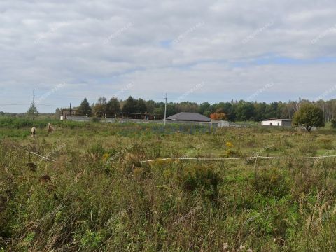 derevnya-polec-bogorodskiy-municipalnyy-okrug фото