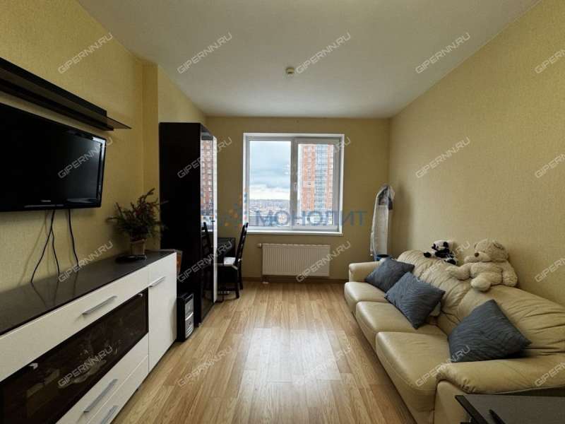 однокомнатная квартира на Русской улице улице дом 4 деревня Анкудиновка