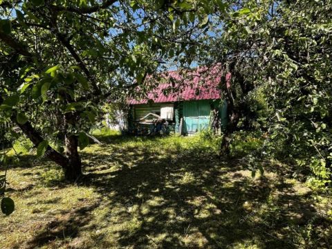 dacha-derevnya-strahovo-gorodskoy-okrug-bor фото