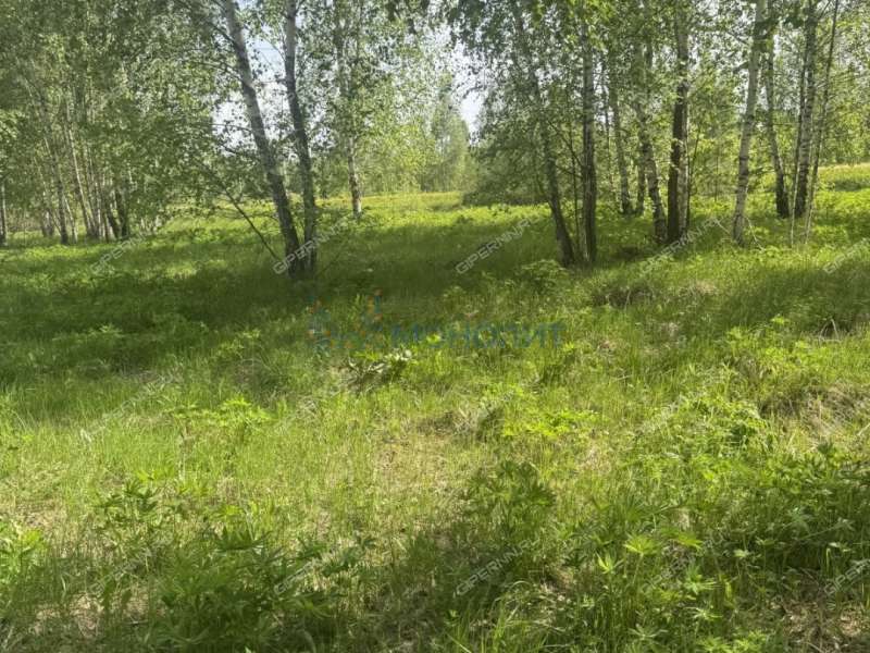 земельный участок 15 соток ул ТИЗ Елховка - Лесная 11 село Елховка