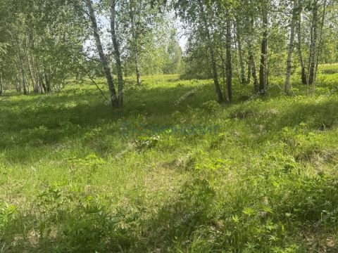 selo-elhovka-kstovskiy-rayon фото