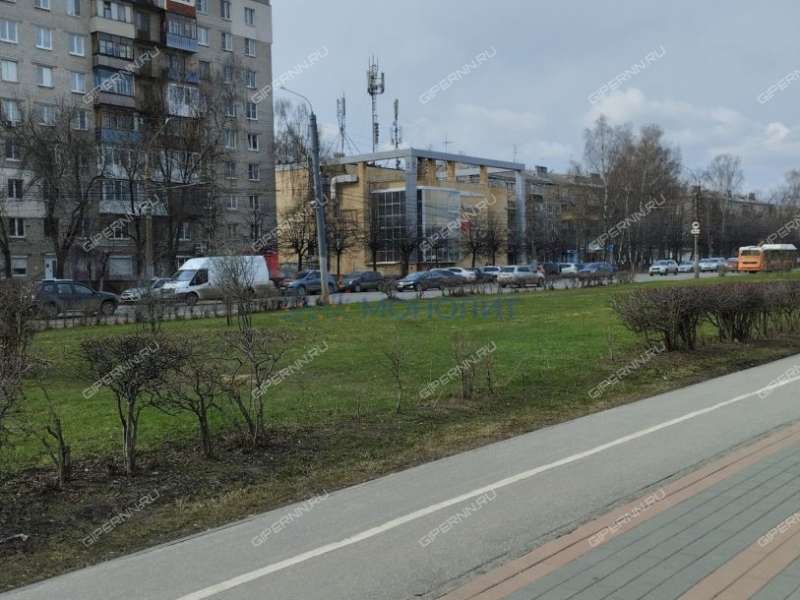 помещение под офис, торговую площадь на улице Веденяпина