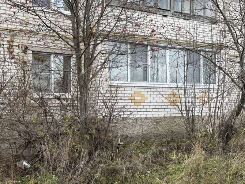 однокомнатная квартира на Центральной улице дом 3 деревня Федурино