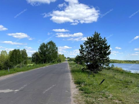 kottedzhnyy-poselok-novaya-muraviha-dalnekonstantinovskiy-rayon фото