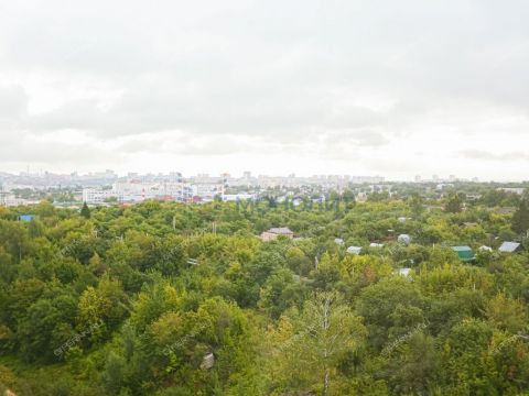 2-komnatnaya-ul-2-ya-oranzhereynaya-d-2-k1 фото