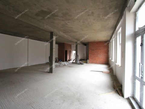 ul-efremova-d-10v фото