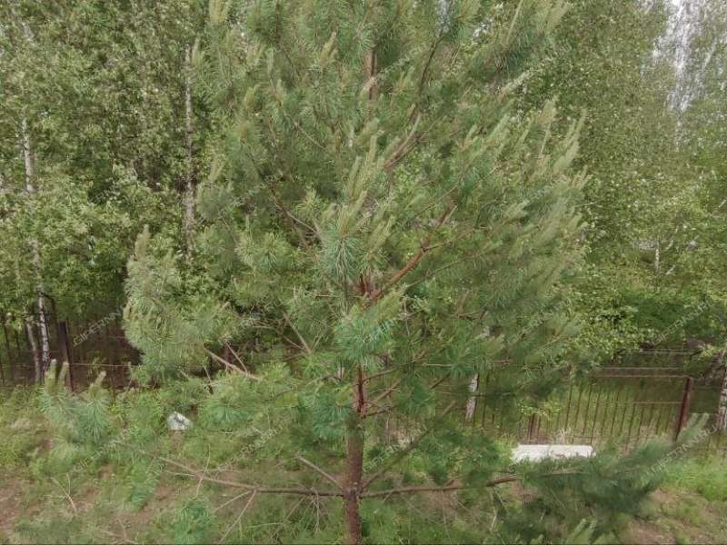 земельный участок 10 соток улица Серебряный Ключ