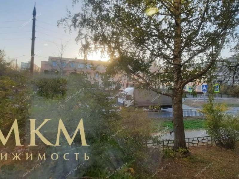 трёхкомнатная квартира на Дворовой улице дом 36