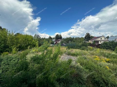 rabochiy-poselok-bolshoe-kozino-balahninskiy-municipalnyy-okrug фото