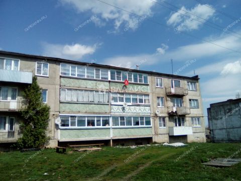 1-komnatnaya-selo-kostyanka-shatkovskiy-rayon фото