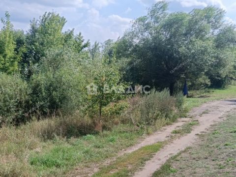 rabochiy-poselok-shatki-shatkovskiy-rayon фото