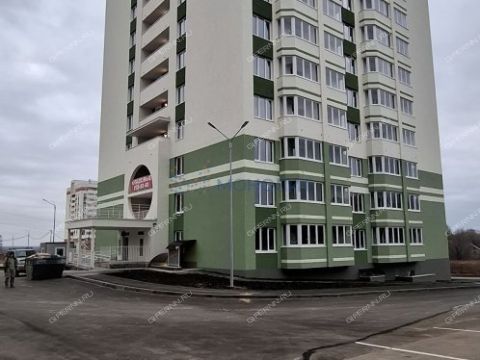 1-komnatnaya-derevnya-afonino-kstovskiy-rayon фото