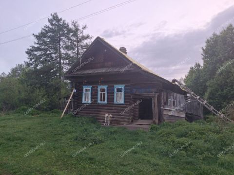 dom-derevnya-martynovo-gorodeckiy-rayon фото
