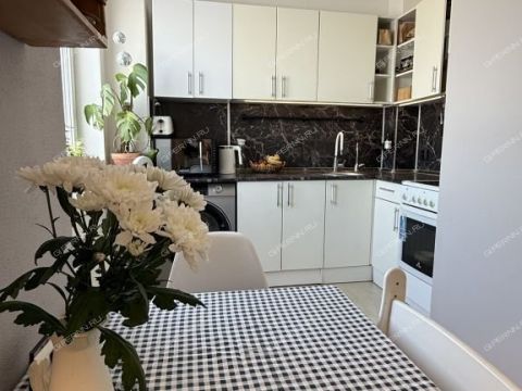 2-komnatnaya-derevnya-ankudinovka-kstovskiy-rayon фото