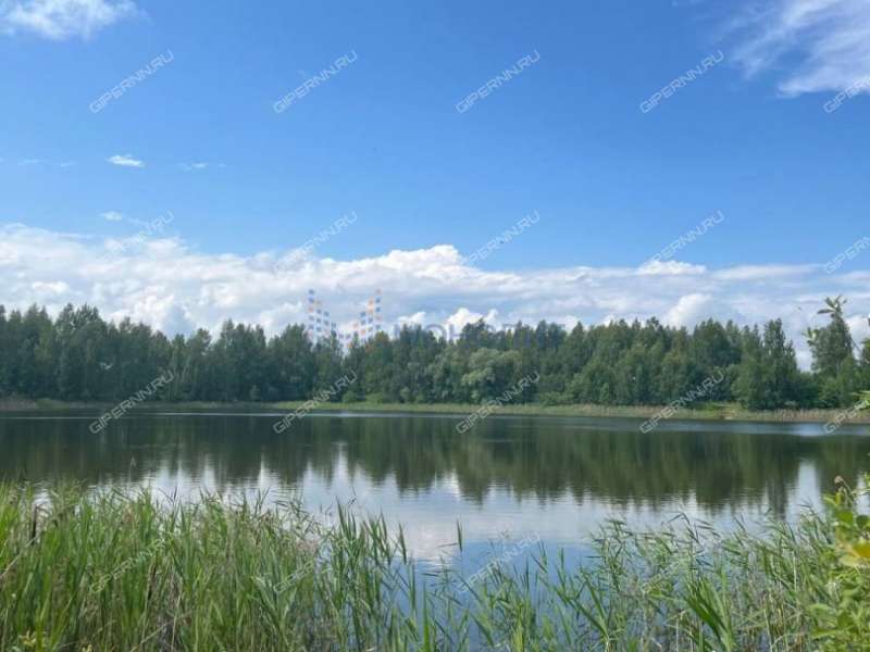 дом на улице Посевная деревня Каликино