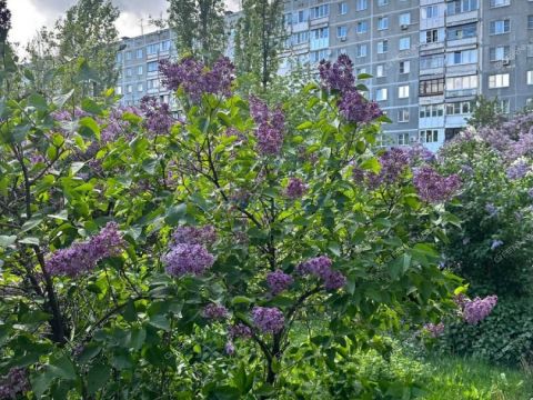 1-komnatnaya-ul-sergeya-esenina-d-20 фото